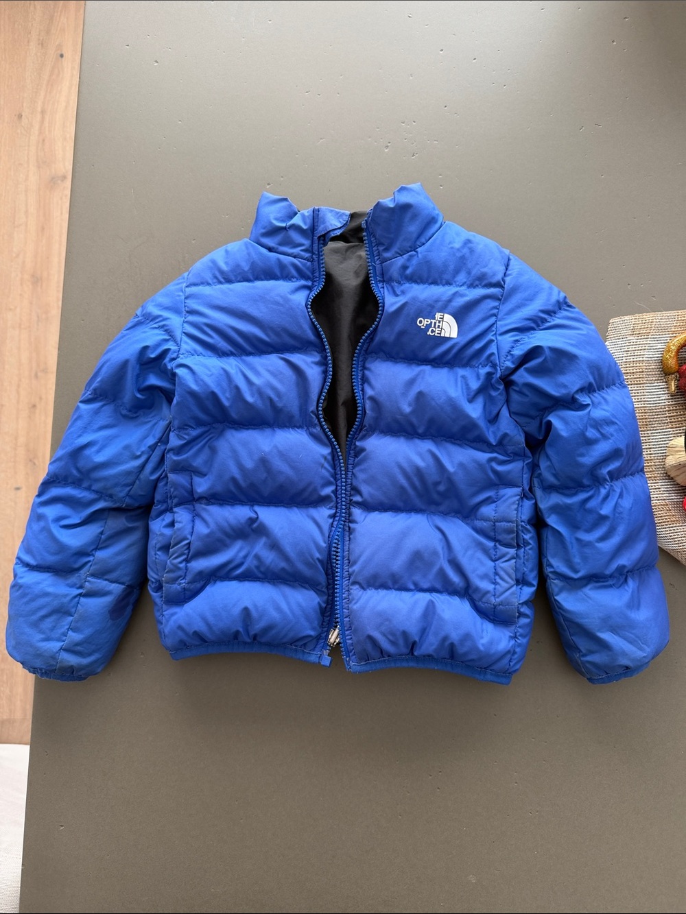 The North Face Kids Bright Blue Puffer Jacket